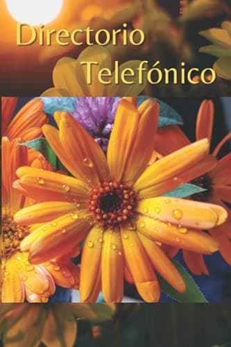 Directorio Telefonico: REP-69-ES-005 - Sólo números de teléfono, directorio telefónico con índice alfabético : nombres y números (teléfono / móvil) - Directorio telefónico válido para personas mayores | Excelente regalo.